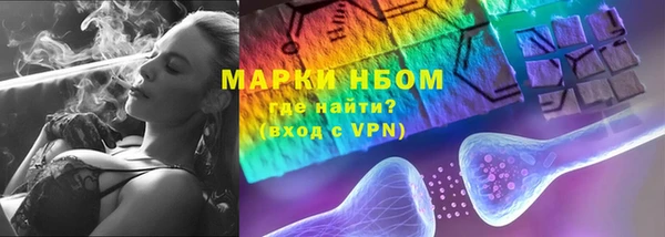 прущие грибы Верея