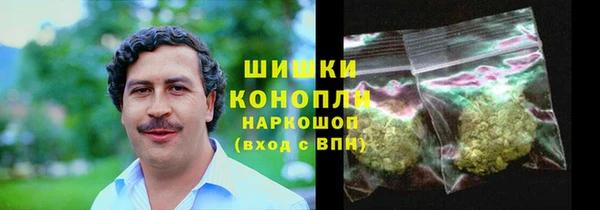 прущие грибы Верея