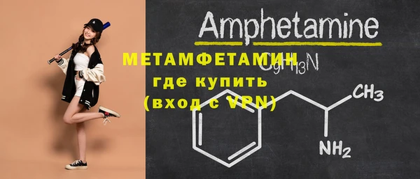 прущие грибы Верея