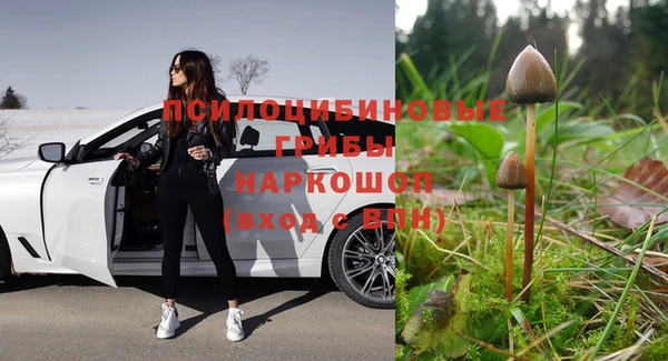 МДПВ Верхний Тагил