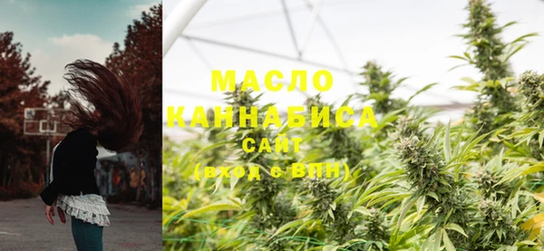 прущие грибы Верея