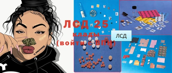 прущие грибы Верея