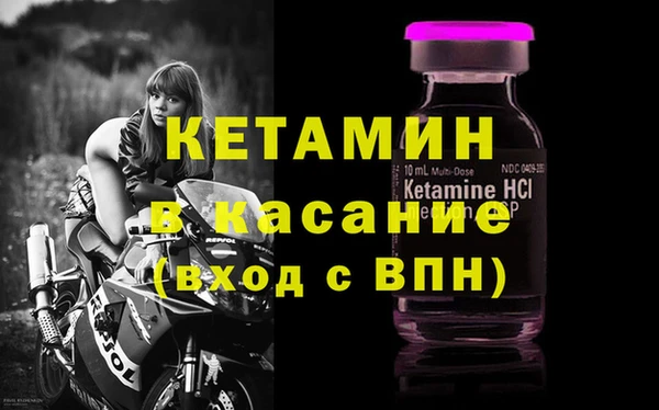 прущие грибы Верея