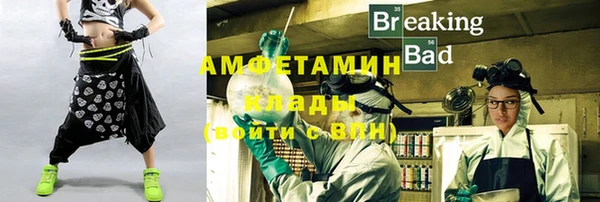 прущие грибы Верея