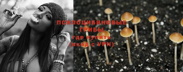 МДПВ Верхний Тагил