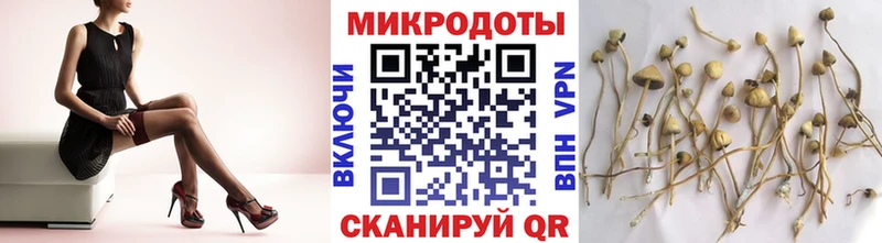 ОМГ ОМГ сайт  наркота  Новоржев  Псилоцибиновые грибы MAGIC MUSHROOMS 
